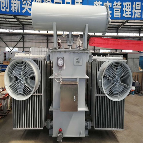 新平10KV油浸式变压器